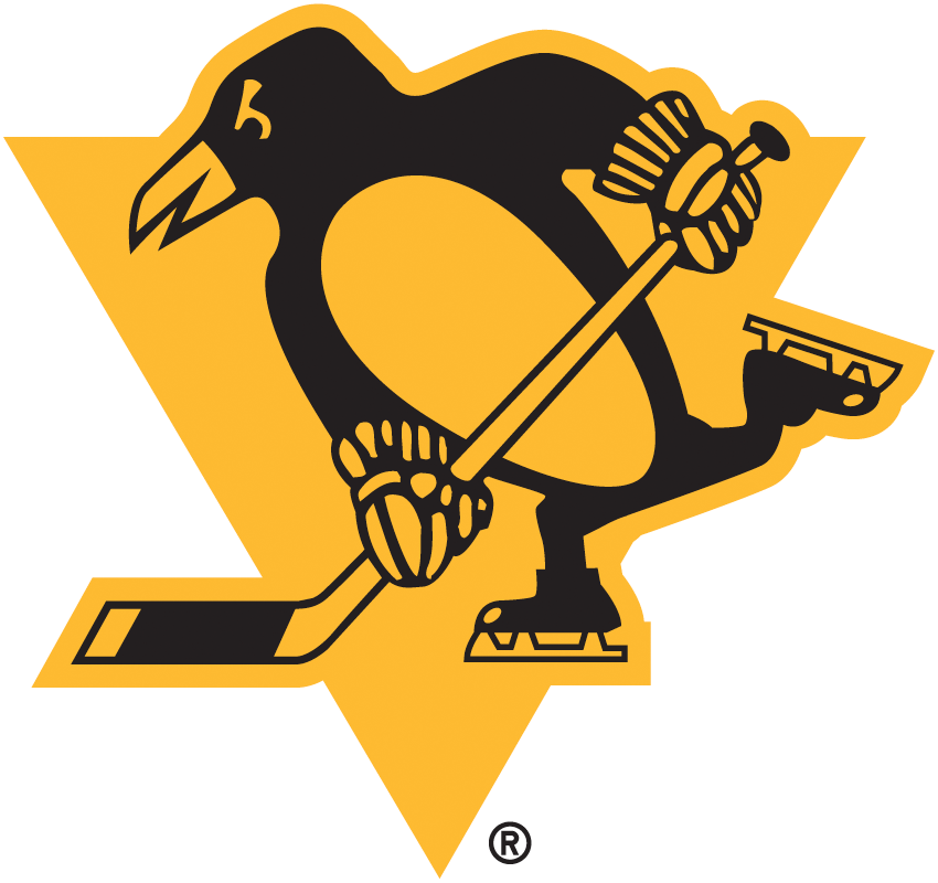 Pittsburgh Penguins 2019 Special Event Logo fabric transfer